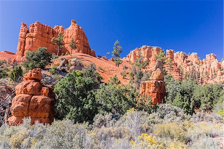 simsearch:6119-08267456,k - Red sandstone formations in Red Canyon, Dixie National Forest, Utah, United States of America, North America Photographie de stock - Premium Libres de Droits, Code: 6119-07451375