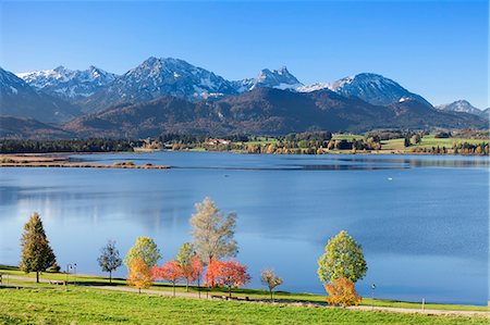 Hopfensee Lake in autumn, near Fussen, Allgau, Allgau Alps, Bavaria, Germany, Europe Stock Photo - Premium Royalty-Free, Code: 6119-07451742