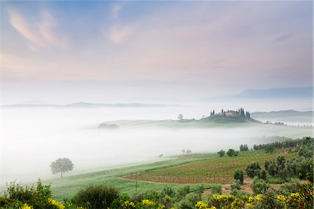 Early morning fog at the farmhouse Belvedere, Orcia Valley (Val d'Orcia), UNESCO World Heritage Site, Siena region, Tuscany, Italy, Europe Stock Photo - Premium Royalty-Free, Code: 6119-07451796