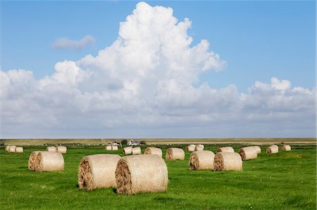 Hay bales on a meadow, Eiderstedt Peninsula, Schleswig Holstein, Germany, Europe Stock Photo - Premium Royalty-Free, Code: 6119-07451703