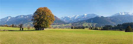 snow on grass - Single tree in Prealps landscape in autumn, Fussen, Ostallgau, Allgau, Allgau Alps, Bavaria, Germany, Europe Stock Photo - Premium Royalty-Free, Code: 6119-07451727