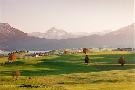 Prealps landscape and Forggensee Lake at sunset, Fussen, Ostallgau, Allgau, Allgau Alps, Bavaria, Germany, Europe Stock Photo - Premium Royalty-Free, Code: 6119-07451725