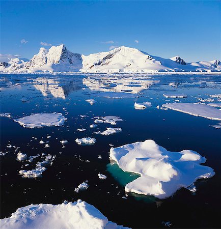península antártica - Ice Floe on the Antarctic Peninsula Photographie de stock - Premium Libres de Droits, Code: 6119-07451931