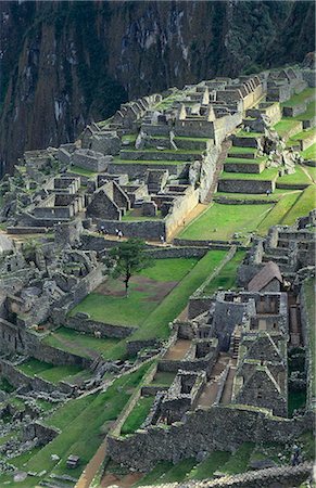 simsearch:6119-07452302,k - Machu Picchu Ancient Ruins, Peru Photographie de stock - Premium Libres de Droits, Code: 6119-07451939