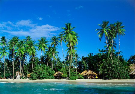 pigeon point - Pigeon Point, Tobago, Caribbean Foto de stock - Sin royalties Premium, Código: 6119-07452062