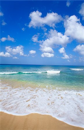 Paynes Bay, Barbados, Caribbean Stock Photo - Premium Royalty-Free, Code: 6119-07452073