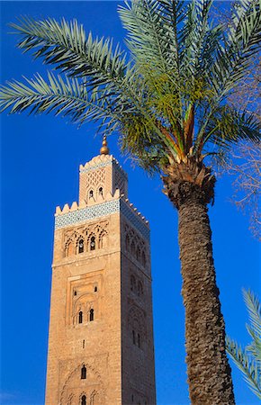 simsearch:841-07653072,k - Koutoubia Mosque, Marrakesh, Morocco Photographie de stock - Premium Libres de Droits, Code: 6119-07452020