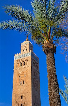 simsearch:841-06804552,k - Koutoubia Mosque, Marrakesh, Morocco Photographie de stock - Premium Libres de Droits, Code: 6119-07452020