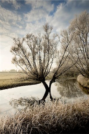 A winter flood with hoar frost occurs at the source of the River Thames at Waterhay, Gloucestershire, England, United Kingdom, Europe Foto de stock - Sin royalties Premium, Código: 6119-07452037
