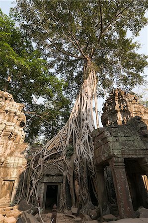 simsearch:6119-08268232,k - Taprohm Kei temple, Angkor Thom, Siem Reap, Cambodia Stock Photo - Premium Royalty-Free, Code: 6119-07452192