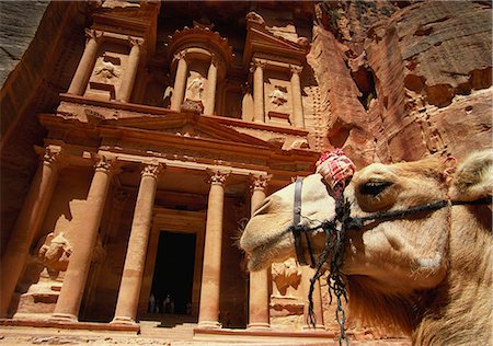 petra - Camel and Low Angle View of the Khazneh, Petra, Jordan Foto de stock - Sin royalties Premium, Código: 6119-07452280