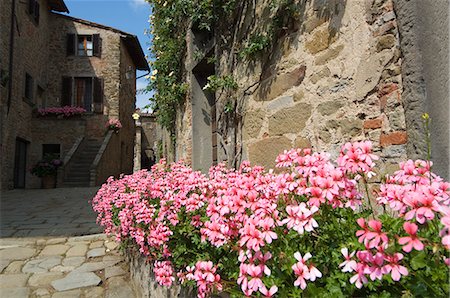 petal on stone - Volpaia, a hill village near Radda, Chianti, Tuscany, Italy, Europe Photographie de stock - Premium Libres de Droits, Code: 6119-07452211