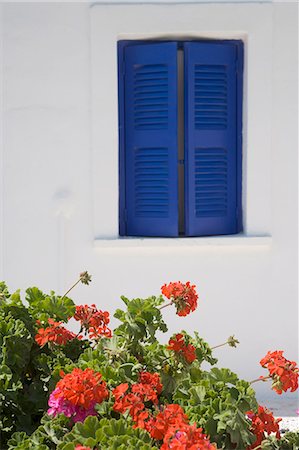 european geraniums - Oia, Santorini (Thira), Cyclades, Greek Islands, Greece, Europe Stock Photo - Premium Royalty-Free, Code: 6119-07452642