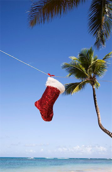 Christmas sock, Las Terrenas, Samana Peninsula, Dominican Republic, West Indies, Caribbean, Central America Stock Photo - Premium Royalty-Free, Image code: 6119-07452662