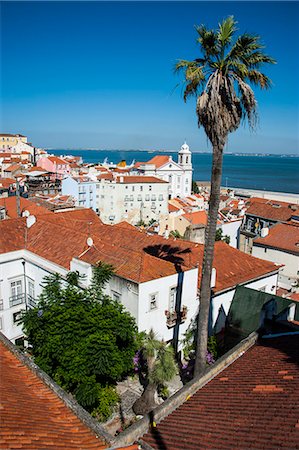 simsearch:6119-08268564,k - View from Portas do Sol over the old quarter of Alfama, Lisbon, Portugal, Europe Stock Photo - Premium Royalty-Free, Code: 6119-07452970