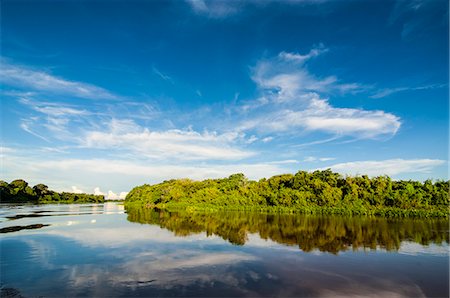 Trees reflecting in the water in a river in the Pantanal, UNESCO World Heritage Site, Brazil, South America Stock Photo - Premium Royalty-Free, Code: 6119-07452987