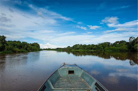 pantanal - Trees reflecting in the water in a river in the Pantanal, UNESCO World Heritage Site, Brazil, South America Stock Photo - Premium Royalty-Free, Code: 6119-07452986