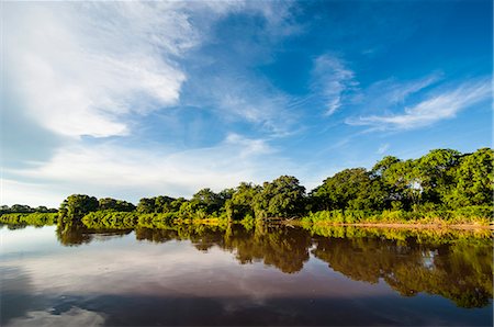 pantanal - Trees reflecting in the water in a river in the Pantanal, UNESCO World Heritage Site, Brazil, South America Stock Photo - Premium Royalty-Free, Code: 6119-07452988