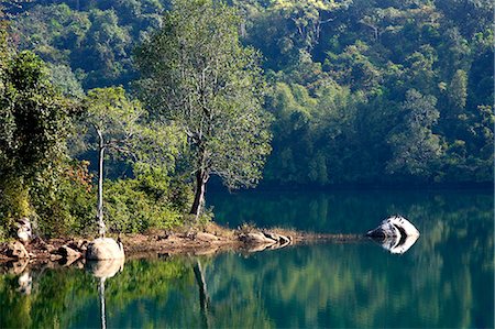 Steve Irwin Crocodile Park, Trivandrum, Kerala, India, Asia Stock Photo - Premium Royalty-Free, Code: 6119-07452909