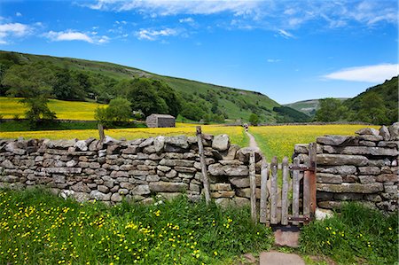 stone walls in meadows - Dry stone wall and gate in meadow at Muker, Swaledale, Yorkshire Dales, Yorkshire, England, United Kingdom, Europe Stock Photo - Premium Royalty-Free, Code: 6119-07453160