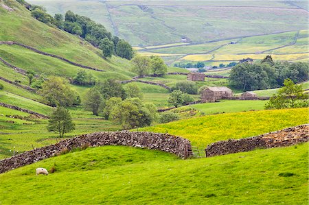 rock wall - Dry stone wall and field barns below Kisdon Hill in Swaledale, Yorkshire Dales, Yorkshire, England, United Kingdom, Europe Stock Photo - Premium Royalty-Free, Code: 6119-07453164