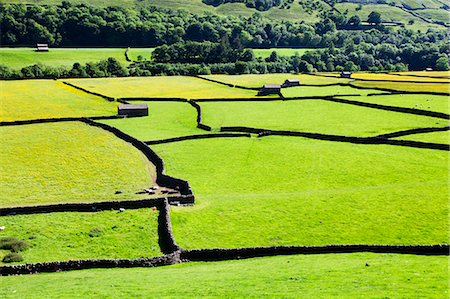 simsearch:6119-07453170,k - Barn and dry stone walls in meadows at Gunnerside, Swaledale, Yorkshire Dales, Yorkshire, England, United Kingdom, Europe Stock Photo - Premium Royalty-Free, Code: 6119-07453173