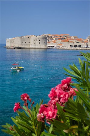 simsearch:6119-07452181,k - View of Old Town, UNESCO World Heritage Site, Dubrovnik, Dalmatia, Croatia, Europe Stock Photo - Premium Royalty-Free, Code: 6119-07453123