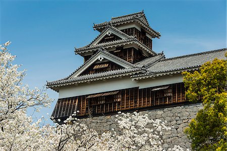 Cherry blossom and Kumamoto Japanese Castle, Kumamoto, Kyushu, Japan, Asia Foto de stock - Sin royalties Premium, Código: 6119-07541580