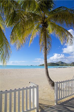 Beach, Jolly Harbour, St. Mary, Antigua, Leeward Islands, West Indies, Caribbean, Central America Foto de stock - Sin royalties Premium, Código: 6119-07541605