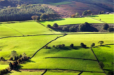 simsearch:6119-07453172,k - Fields and dry stone walls in Nidderdale, Pateley Bridge, North Yorkshire, Yorkshire, England, United Kingdom, Europe Stock Photo - Premium Royalty-Free, Code: 6119-07541606