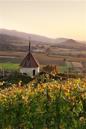 farm in germany - Olbergkapelle Chapel, Ehrenstetten, Staufen im Breisgau, Markgrafler Land, Black Forest, Baden Wurttemberg, Germany, Europe Stock Photo - Premium Royalty-Free, Code: 6119-07651873