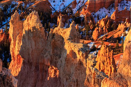 Rocks and hoodoos lit by strong dawn light in winter, Queen's Garden Trail at Sunrise Point, Bryce Canyon National Park, Utah, United States of America, North America Foto de stock - Sin royalties Premium, Código: 6119-07651896