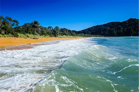 Long sandy beach, Abel Tasman National Park, South Island, New Zealand, Pacific Stock Photo - Premium Royalty-Free, Code: 6119-07652059