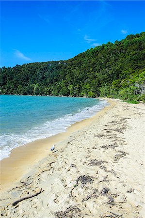 Long sandy beach, Abel Tasman National Park, South Island, New Zealand, Pacific Stock Photo - Premium Royalty-Free, Code: 6119-07652060