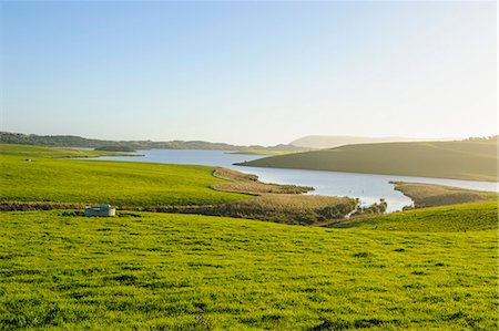 Little lake in green fields, the Catlins, South Island, New Zealand, Pacific Stock Photo - Premium Royalty-Free, Code: 6119-07652084