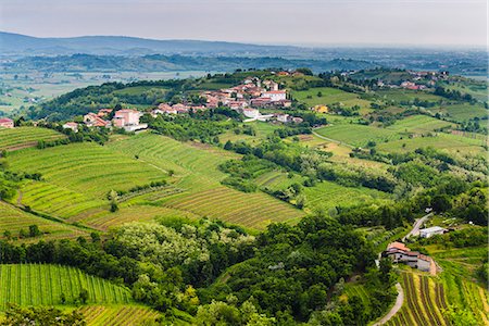 simsearch:6119-07541544,k - Vineyard countryside surrounding Kozana, Goriska Brda (Gorizia Hills), Slovenia, Europe Foto de stock - Sin royalties Premium, Código: 6119-07744522