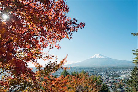 simsearch:6119-09238429,k - Mount Fuji, 3776m, UNESCO World Heritage Site, and autumn colours, Honshu, Japan, Asia Fotografie stock - Premium Royalty-Free, Codice: 6119-07744643