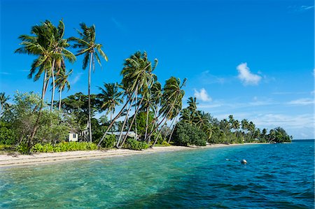 Palm fringed white sand beach on an islet of Vavau, Vavau Islands, Tonga, South Pacific, Pacific Stock Photo - Premium Royalty-Free, Code: 6119-07781267