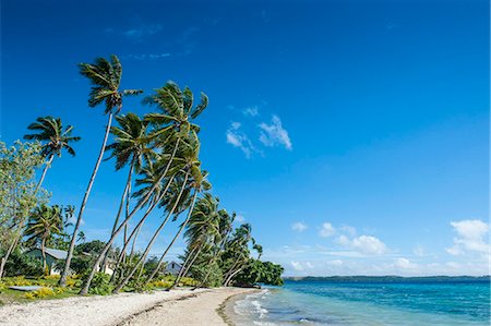 south pacific - Palm fringed white sand beach on an islet of Vavau, Vavau Islands, Tonga, South Pacific, Pacific Photographie de stock - Premium Libres de Droits, Code: 6119-07781265