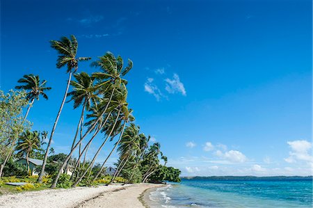 sand island - Palm fringed white sand beach on an islet of Vavau, Vavau Islands, Tonga, South Pacific, Pacific Foto de stock - Royalty Free Premium, Número: 6119-07781265