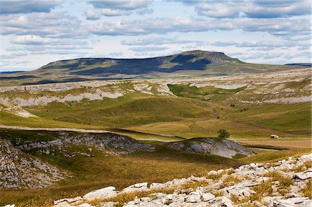 simsearch:6119-07651882,k - Plover Hill and Pen Y Ghent from Long Scar above Crummack, Crummack Dale, Yorkshire Dales, Yorkshire, England, United Kingdom, Europe Stockbilder - Premium RF Lizenzfrei, Bildnummer: 6119-07781302