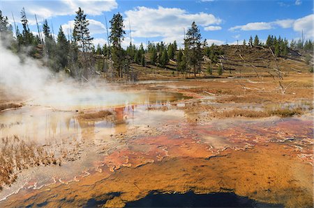 simsearch:6119-07734980,k - Colourful thermal features, Upper Geyser Basin, Yellowstone National Park, UNESCO World Heritage Site, Wyoming, United States of America, North America Photographie de stock - Premium Libres de Droits, Code: 6119-07734989