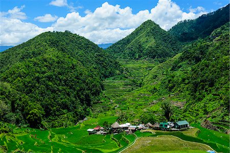 physical geography - Bangaan in the rice terraces of Banaue, UNESCO World Heritage Site, Northern Luzon, Philippines, Southeast Asia, Asia Stock Photo - Premium Royalty-Free, Code: 6119-07735078