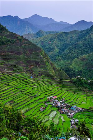 simsearch:6119-07845679,k - Batad rice terraces, part of the UNESCO World Heritage Site of Banaue, Luzon, Philippines, Southeast Asia, Asia Stock Photo - Premium Royalty-Free, Code: 6119-07735081