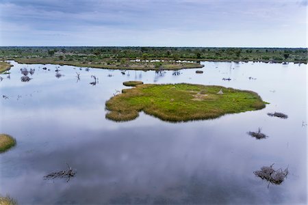 delta d'okavango - Okavango Delta, Botswana, Africa Photographie de stock - Premium Libres de Droits, Code: 6119-07735037