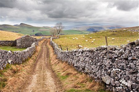 rural - The Pennine Bridle Way near Stainforth in Ribblesdale, Yorkshire Dales, Yorkshire, England, United Kingdom, Europe Photographie de stock - Premium Libres de Droits, Code: 6119-07735114