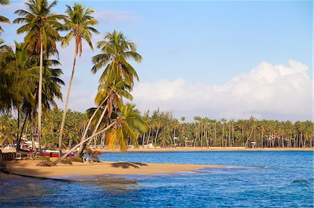 simsearch:6119-09053895,k - Beach at Las Terrenas, Samana Peninsula, Dominican Republic, West Indies, Caribbean, Central America Foto de stock - Royalty Free Premium, Número: 6119-07845385