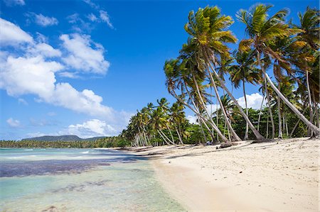 simsearch:6119-07845381,k - Playa Rincon, Samana Peninsula, Dominican Republic, West Indies, Caribbean, Central America Foto de stock - Sin royalties Premium, Código: 6119-07845390