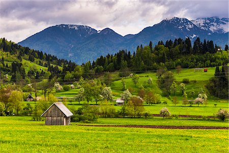 establo - Typical Slovenian landscape between Lake Bled and Lake Bohinj, Triglav National Park, Julian Alps, Slovenia, Europe Photographie de stock - Premium Libres de Droits, Code: 6119-07845414