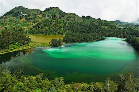Telaga Warna (Colorful Lake), Dieng Plateau, Java, Indonesia, Southeast Asia, Asia Foto de stock - Sin royalties Premium, Código: 6119-07845595